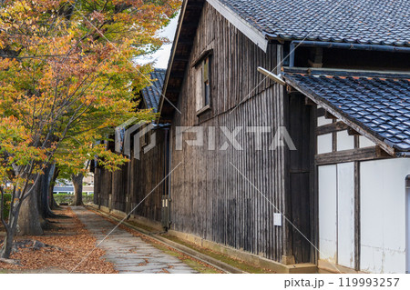 秋の紅葉に包まれる山居倉庫 秋の紅葉に包まれる山居倉庫 119993257