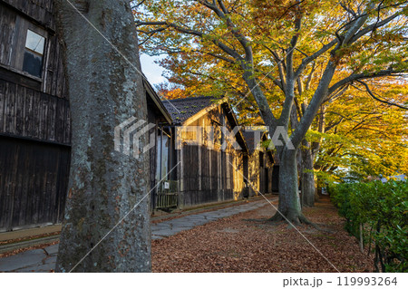 秋の紅葉に包まれる山居倉庫 秋の紅葉に包まれる山居倉庫 119993264