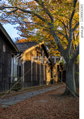 秋の紅葉に包まれる山居倉庫 秋の紅葉に包まれる山居倉庫 119993265