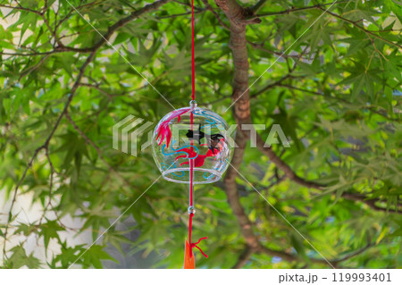 風鈴と緑の葉 119993401