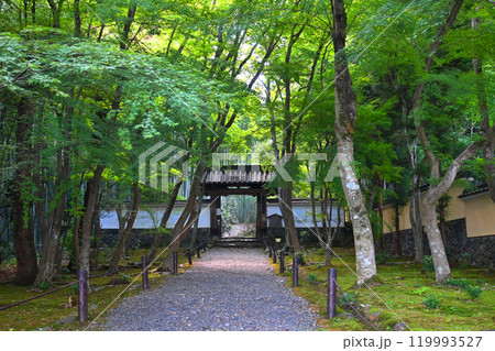 一休さん生誕の寺 京都市の地蔵院参道 一休さん生誕の寺 京都市の地蔵院参道 119993527