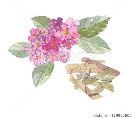 水彩で描いたバナバ　花・葉・茶葉 119993600