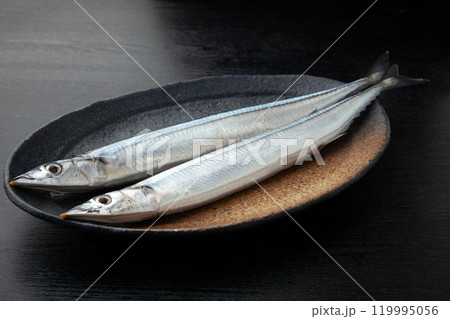 生さんま 119995056