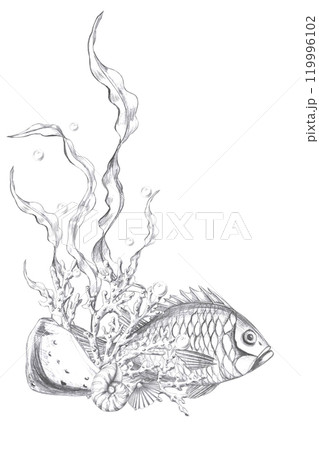 Vertical composition with fish, seaweed and corals. Isolated pencil graphic illustration for postcards, textiles, restaurant decoration, invitations to a sea party, Vertical composition with fish, seaweed and corals. Isolated pencil graphic illustration for postcards, textiles, restaurant decoration, invitations to a sea party, 119996102