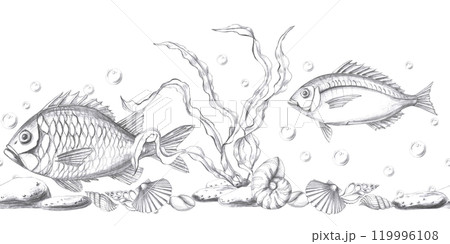 Seamless border with underwater inhabitants, seaweed and shells. Isolated pencil graphic illustration for postcards, textiles, restaurant decoration, invitations to a sea party, 119996108