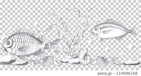 Seamless border with underwater inhabitants, seaweed and shells. Isolated pencil graphic illustration for postcards, textiles, restaurant decoration, invitations to a sea party, 119996108