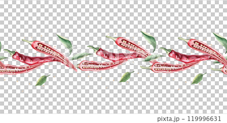 Seamless border with peppers sliced lengthwise. Hand drawn isolated watercolor illustration of vegetables for tableware design, posters, cookbook illustration, tablecloth print Seamless border with peppers sliced lengthwise. Hand drawn isolated watercolor illustration of vegetables for tableware design, posters, cookbook illustration, tablecloth print 119996631