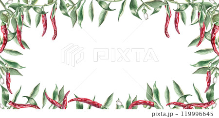 Rectangular frame of branches with hot red peppers. Hand drawn isolated watercolor illustration of vegetables for tableware design, posters, cookbook illustration, fabric and clothing printing Rectangular frame of branches with hot red peppers. Hand drawn isolated watercolor illustration of vegetables for tableware design, posters, cookbook illustration, fabric and clothing printing 119996645