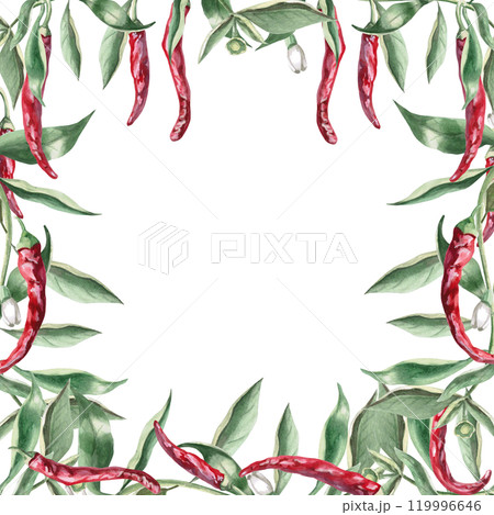 Square frame of branches with hot red peppers. Hand drawn isolated watercolor illustration of vegetables for tableware design, posters, cookbook illustration, fabric and clothing printing 119996646