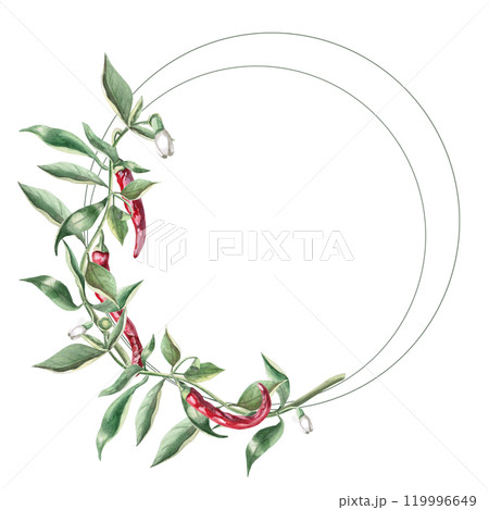 Round frame of branches with red peppers. Hand drawn isolated watercolor illustration of vegetables for tableware design, cookbook illustration, fabric and clothing printing Round frame of branches with red peppers. Hand drawn isolated watercolor illustration of vegetables for tableware design, cookbook illustration, fabric and clothing printing 119996649