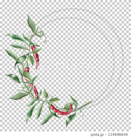 Round frame of branches with red peppers. Hand drawn isolated watercolor illustration of vegetables for tableware design, cookbook illustration, fabric and clothing printing Round frame of branches with red peppers. Hand drawn isolated watercolor illustration of vegetables for tableware design, cookbook illustration, fabric and clothing printing 119996649