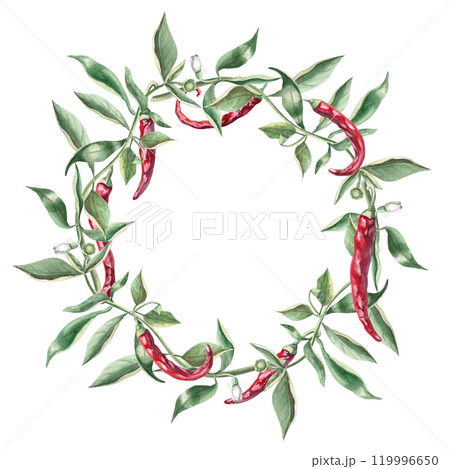 Wreath of branches with red peppers. Hand drawn isolated watercolor illustration of vegetables for tableware design, cookbook illustration, fabric and clothing printing Wreath of branches with red peppers. Hand drawn isolated watercolor illustration of vegetables for tableware design, cookbook illustration, fabric and clothing printing 119996650