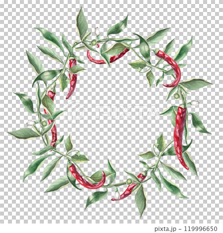 Wreath of branches with red peppers. Hand drawn isolated watercolor illustration of vegetables for tableware design, cookbook illustration, fabric and clothing printing Wreath of branches with red peppers. Hand drawn isolated watercolor illustration of vegetables for tableware design, cookbook illustration, fabric and clothing printing 119996650