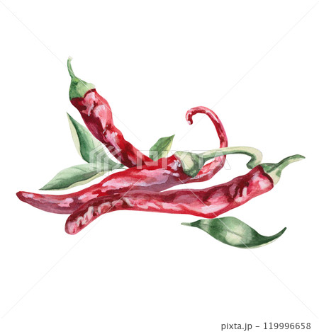 Set of three peppers with green leaves. Isolated watercolor illustration for spice packaging design, cookbook, fabric printing, restaurant print design, tableware and kitchenware 119996658