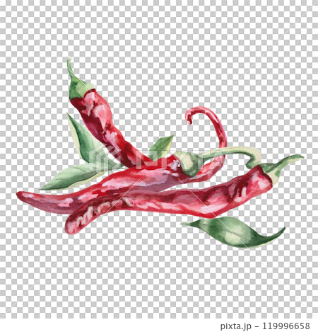 Set of three peppers with green leaves. Isolated watercolor illustration for spice packaging design, cookbook, fabric printing, restaurant print design, tableware and kitchenware 119996658