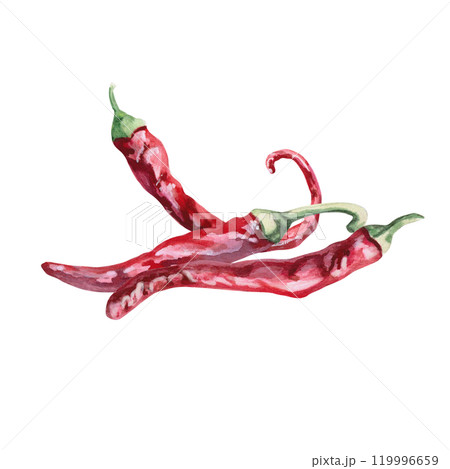 Set of three hot peppers. Isolated watercolor illustration for spice packaging design, cookbook, fabric printing, restaurant print design, tableware and kitchenware 119996659
