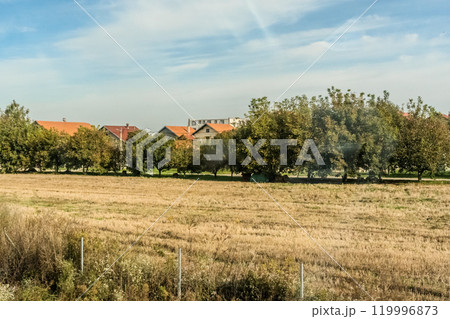 Agricultural fields with young green shoots of grain crops and plowed field without sowing. With trees in the background on the hills. Fallow concept. Alternation. High quality photo 119996873