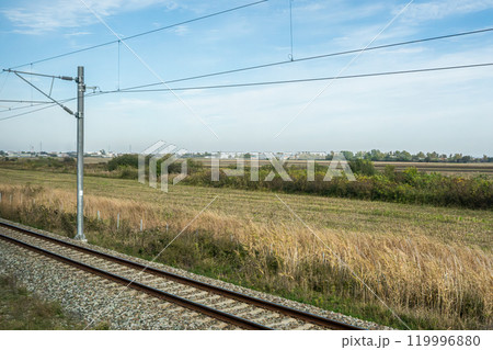 Agricultural fields with young green shoots of grain crops and plowed field without sowing. With trees in the background on the hills. Fallow concept. Alternation. High quality photo 119996880