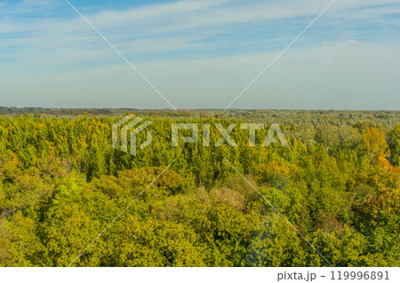 Agricultural fields with young green shoots of grain crops and plowed field without sowing. With trees in the background on the hills. Fallow concept. Alternation. High quality photo 119996891