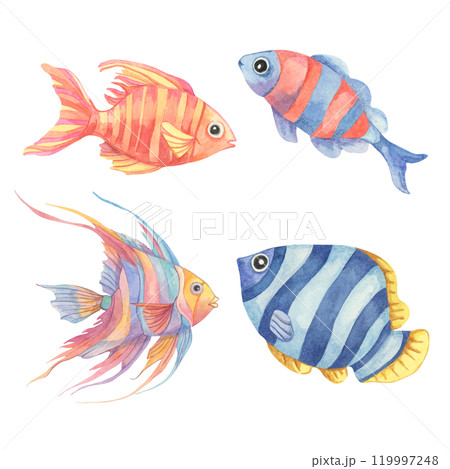 A group of four watercolor tropical fish in different colors, including orange, blue, and purple. This clipart works well for ocean-themed childrens products, posters, or bags or t-shirts A group of four watercolor tropical fish in different colors, including orange, blue, and purple. This clipart works well for ocean-themed childrens products, posters, or bags or t-shirts 119997248