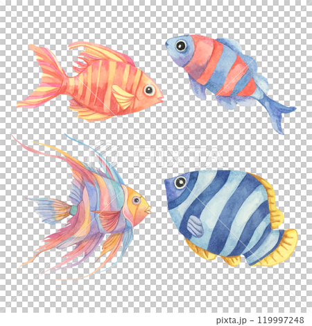 A group of four watercolor tropical fish in different colors, including orange, blue, and purple. This clipart works well for ocean-themed childrens products, posters, or bags or t-shirts A group of four watercolor tropical fish in different colors, including orange, blue, and purple. This clipart works well for ocean-themed childrens products, posters, or bags or t-shirts 119997248