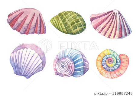 A set of watercolor shells in various colors and shapes. Underwater mollusk clipart bundle ideal for seamless pattern designs, kids' room decorations, or summer event flyers. Aquatic life collection 119997249
