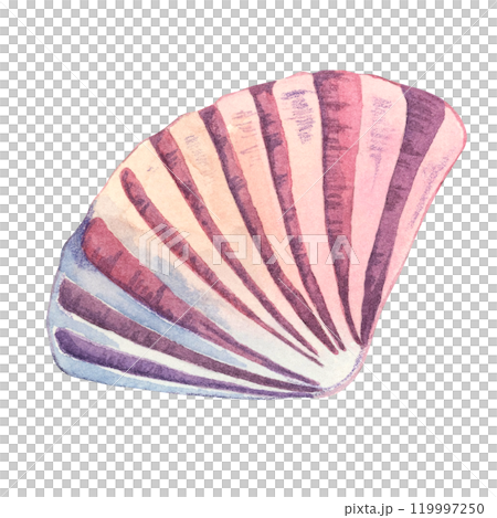 A purple and pink fan-shaped watercolor shell illustration. Cockle shell clipart, suitable for ocean-themed stationery, tote bags, or bathroom decor products. Marine underwater life A purple and pink fan-shaped watercolor shell illustration. Cockle shell clipart, suitable for ocean-themed stationery, tote bags, or bathroom decor products. Marine underwater life 119997250