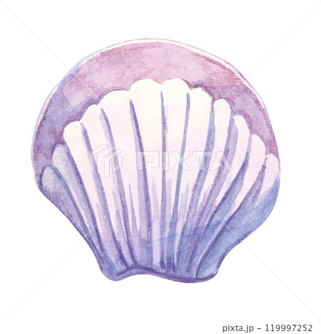 A soft lavender and white fan-shaped shell in watercolor. Scallop shell mollusk clipart ideal for wedding invitations, textile patterns, or summer vacation-themed merchandise. Underwater life A soft lavender and white fan-shaped shell in watercolor. Scallop shell mollusk clipart ideal for wedding invitations, textile patterns, or summer vacation-themed merchandise. Underwater life 119997252