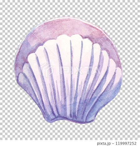 A soft lavender and white fan-shaped shell in watercolor. Scallop shell mollusk clipart ideal for wedding invitations, textile patterns, or summer vacation-themed merchandise. Underwater life A soft lavender and white fan-shaped shell in watercolor. Scallop shell mollusk clipart ideal for wedding invitations, textile patterns, or summer vacation-themed merchandise. Underwater life 119997252