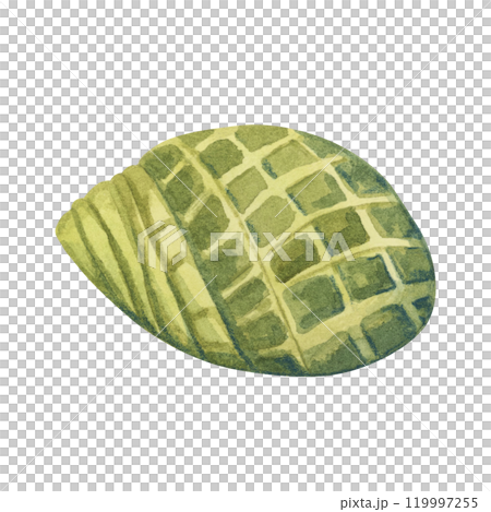 A green watercolor shell illustration. Turban snail shellfish clipart, aquatic whimsical mollusk perfect for beachy or marine-inspired merchandise like throw pillows, phone cases, or greeting cards A green watercolor shell illustration. Turban snail shellfish clipart, aquatic whimsical mollusk perfect for beachy or marine-inspired merchandise like throw pillows, phone cases, or greeting cards 119997255