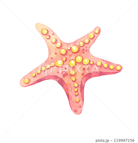 A pink and orange watercolor starfish clipart with yellow dots. Aquatic sea star illustration, suitable for creating summer-themed designs on swimwear, scrapbooks, or unique wrapping paper A pink and orange watercolor starfish clipart with yellow dots. Aquatic sea star illustration, suitable for creating summer-themed designs on swimwear, scrapbooks, or unique wrapping paper 119997256