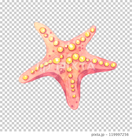 A pink and orange watercolor starfish clipart with yellow dots. Aquatic sea star illustration, suitable for creating summer-themed designs on swimwear, scrapbooks, or unique wrapping paper A pink and orange watercolor starfish clipart with yellow dots. Aquatic sea star illustration, suitable for creating summer-themed designs on swimwear, scrapbooks, or unique wrapping paper 119997256