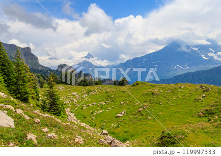 Panoramic view of snow-covered Swiss Alps and green flowering alpine meadow near Schynige Platte in Bernese Oberland, Switzerland Panoramic view of snow-covered Swiss Alps and green flowering alpine meadow near Schynige Platte in Bernese Oberland, Switzerland 119997333