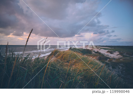 Overview over dunes in evening light at danish west coast Overview over dunes in evening light at danish west coast 119998046