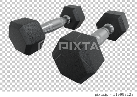Blank Two Hex Dumbbells, weightlifting gym equipment, isolated on white background. 3D illustration 119998128