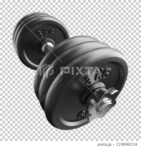Cast Iron Black Adjustable Dumbbell, weightlifting gym equipment, wide angle view, isolated on white background. 3D illustration 119998134