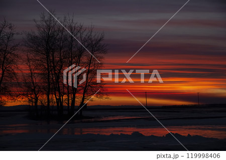 Colorful sunset in prairies with bare winter tree silhouettes. Colorful sunset in prairies with bare winter tree silhouettes. 119998406