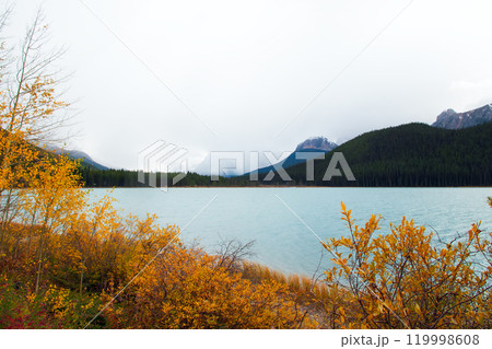 Beautiful blue lake among mountains in autumn, trees with bright yellow foliage in the foreground. Waterfowl lake, Banff national park, Canada. Beautiful blue lake among mountains in autumn, trees with bright yellow foliage in the foreground. Waterfowl lake, Banff national park, Canada. 119998608