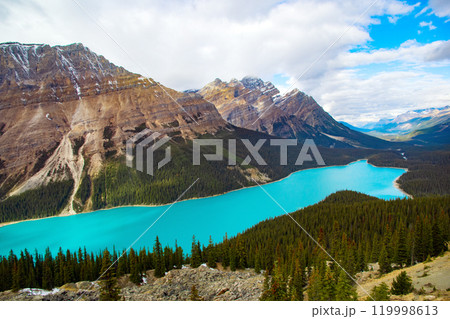 Stunning lake with bright turquoise waters in the valley among spruce forests and  mountains under blue sky. Peyto lake, The Rocky mountains, Canada. 119998613