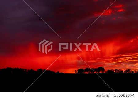 Red and purple sunset and raining cloud over the field with trees. 119998674