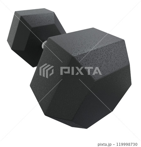 Blank Hex Dumbbell, weightlifting gym equipment, wide angle view, isolated on white background. 3D illustration 119998730