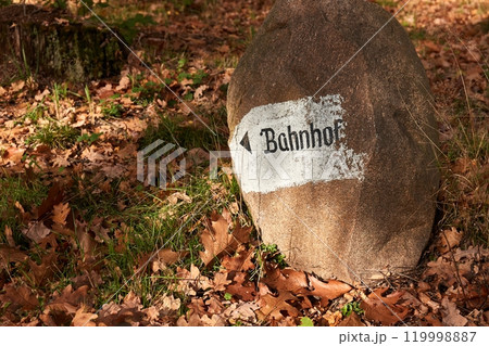 Bahnhof, German for train station directon sign on a forest trail 119998887