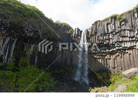 Svartifoss falls in summer season view, Iceland 119998999