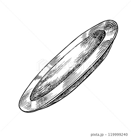 A plate of dishes. Vector graphics depicting an empty ceramic plate. A black and white hand-drawn illustration. An element of kitchen design, recipe, menu. For posters, labels, and packages. A plate of dishes. Vector graphics depicting an empty ceramic plate. A black and white hand-drawn illustration. An element of kitchen design, recipe, menu. For posters, labels, and packages. 119999240