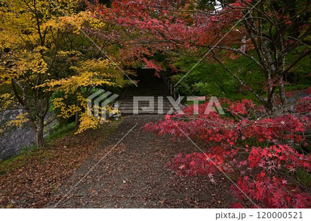 秋の景徳山安国寺 120000521