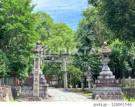 藤森神社の参道の鳥居 120001549