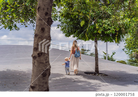 Mother with her toddler son walking in the park. Family bonding, outdoor exploration, and parenting concept 120001758