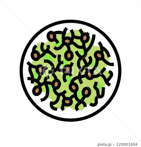 sprouted grains raw foodist color icon vector illustration sprouted grains raw foodist color icon vector illustration 120001884