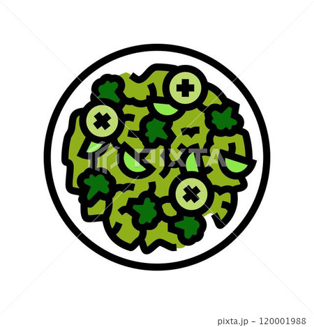 green salad raw foodist color icon vector illustration 120001988