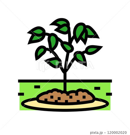 mulching garden maintenance color icon vector illustration 120002020